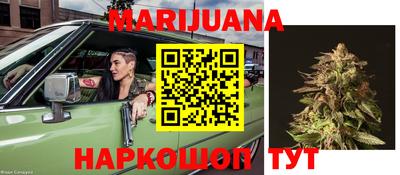 сатива Кинель