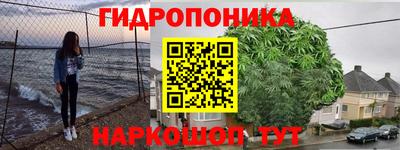 амф Кимры