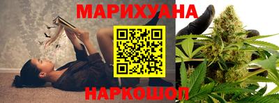 сатива Кинель