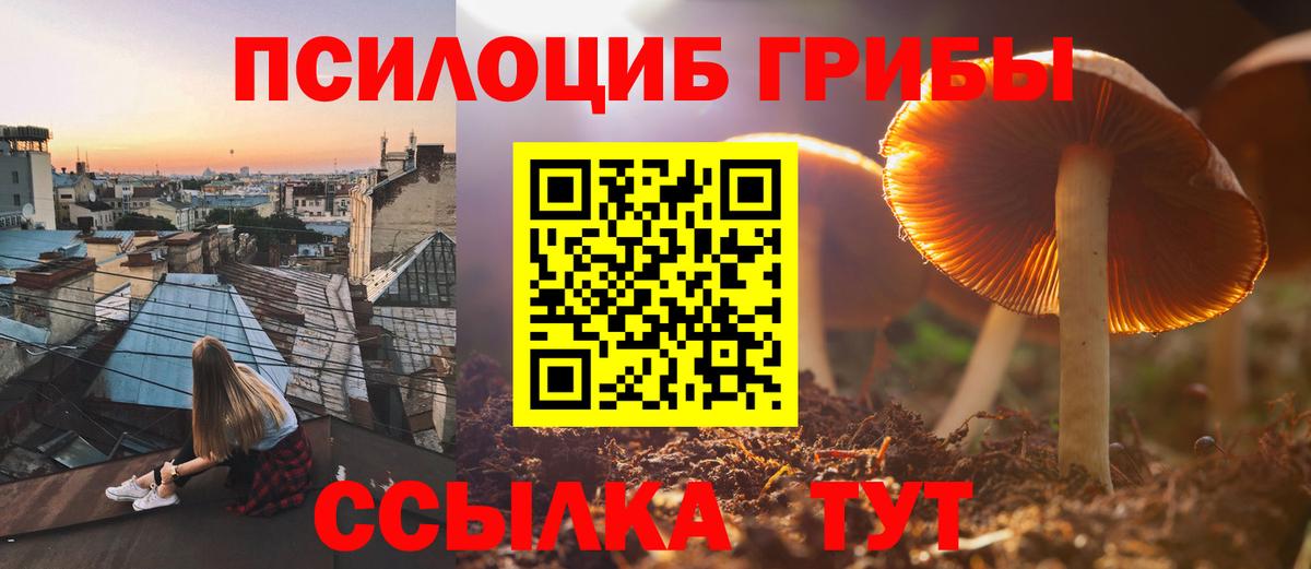 дарнет шоп  Галлюциногенные грибы Cubensis  Котлас  Вход с VPN  Галлюциногенные грибы прущие грибы 